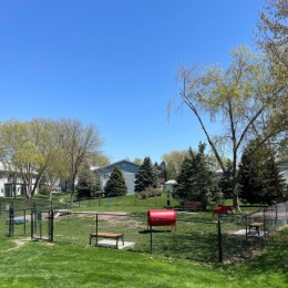 dog park with fence and toys