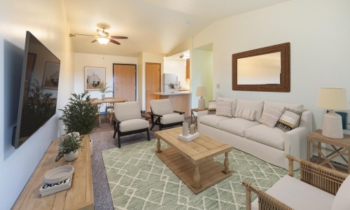 a living room with a couch and a tv