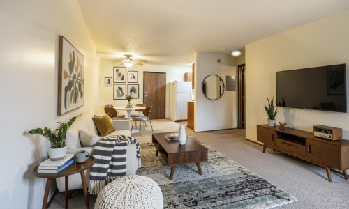 a living room with a couch and a tv